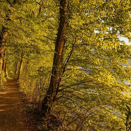 Haus Herzogstand - In Kochel Am Apartment *